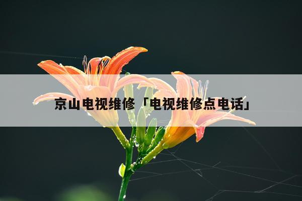 京山电视维修「电视维修点电话」