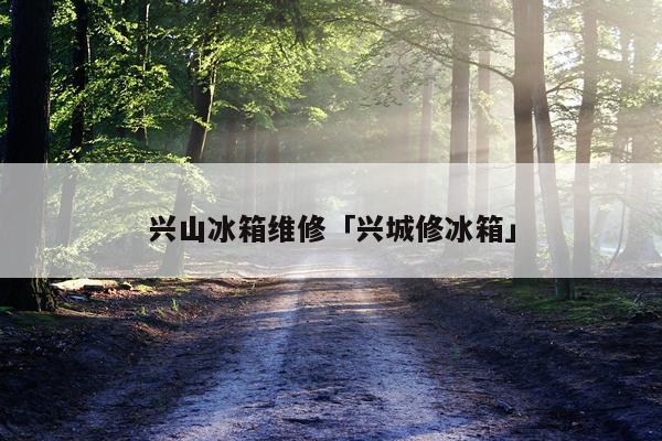 兴山冰箱维修「兴城修冰箱」