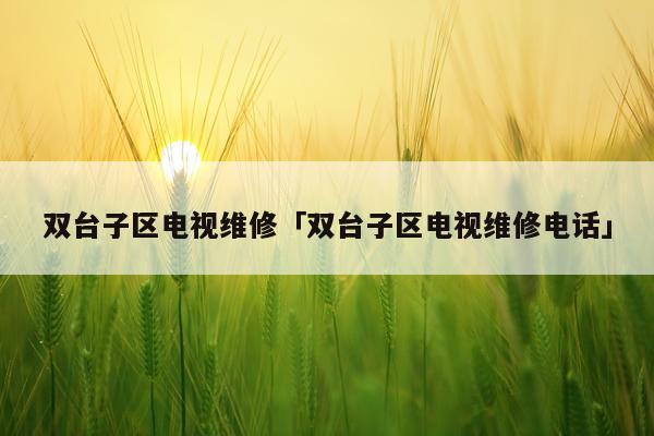 双台子区电视维修「双台子区电视维修电话」