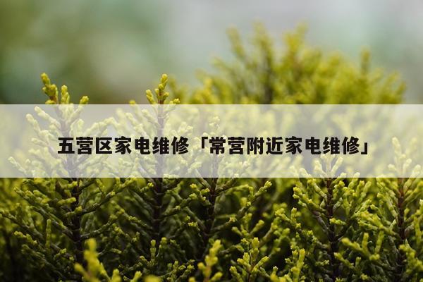 五营区家电维修「常营附近家电维修」