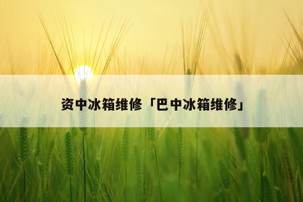 资中冰箱维修「巴中冰箱维修」