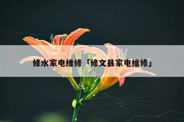 修水家电维修「修文县家电维修」