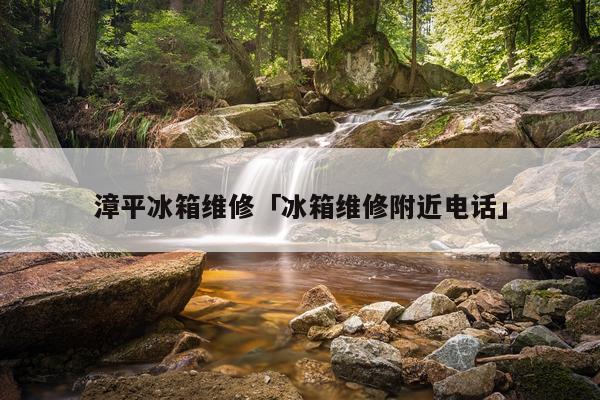 漳平冰箱维修「冰箱维修附近电话」