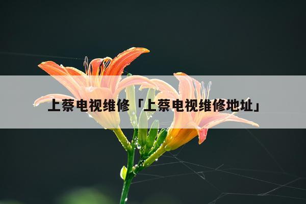 上蔡电视维修「上蔡电视维修地址」