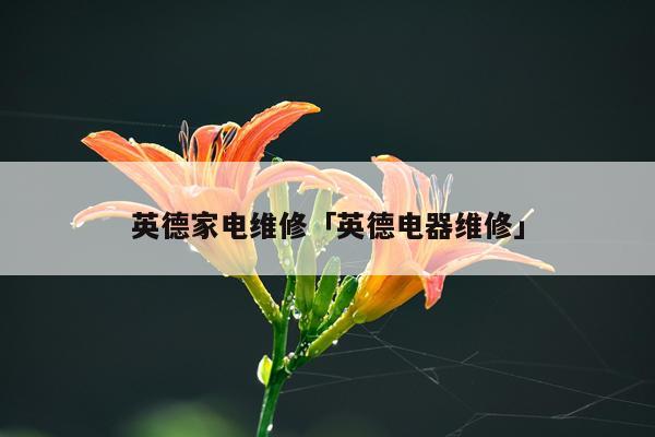 英德家电维修「英德电器维修」