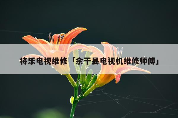 将乐电视维修「余干县电视机维修师傅」