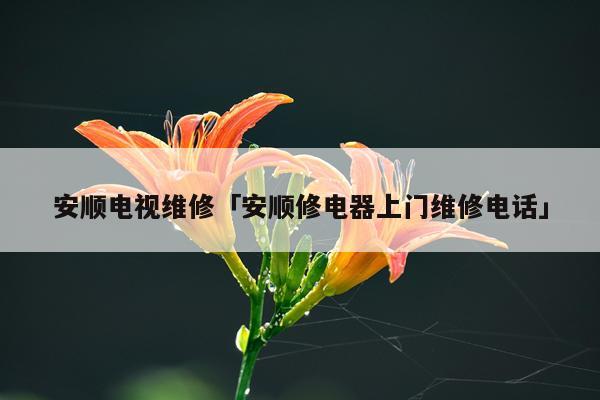 安顺电视维修「安顺修电器上门维修电话」