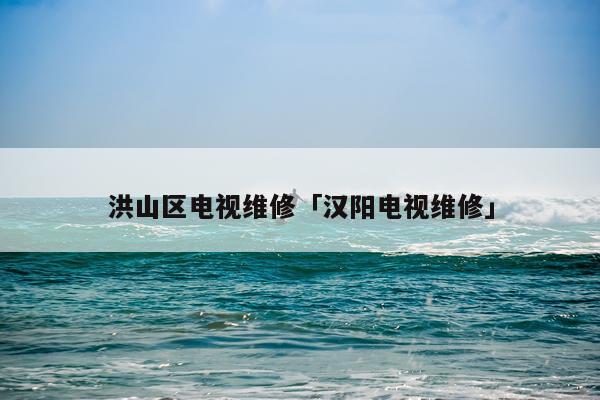 洪山区电视维修「汉阳电视维修」