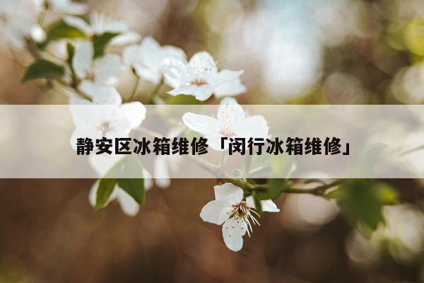 静安区冰箱维修「闵行冰箱维修」