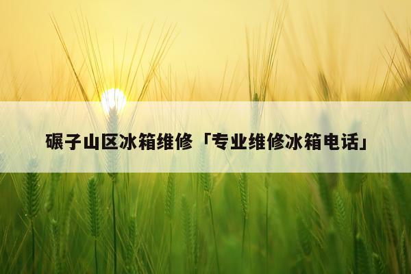 碾子山区冰箱维修「专业维修冰箱电话」