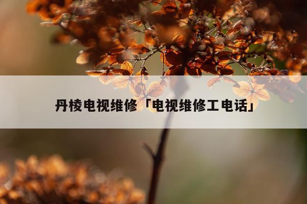 丹棱电视维修「电视维修工电话」