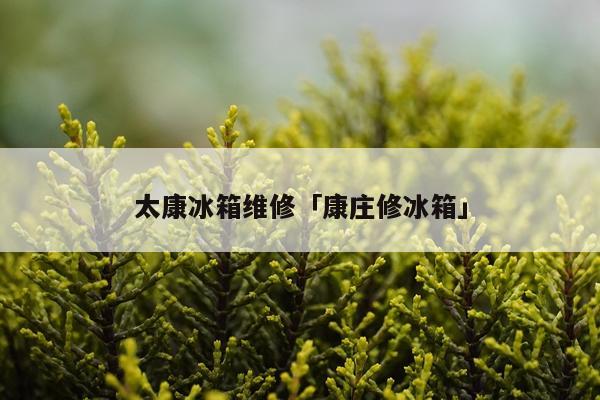 太康冰箱维修「康庄修冰箱」