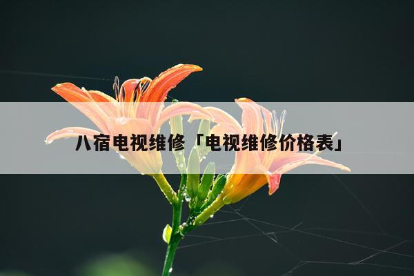 八宿电视维修「电视维修价格表」