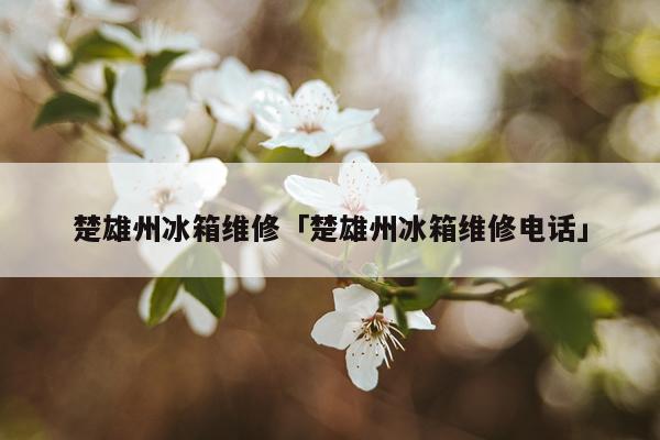 楚雄州冰箱维修「楚雄州冰箱维修电话」