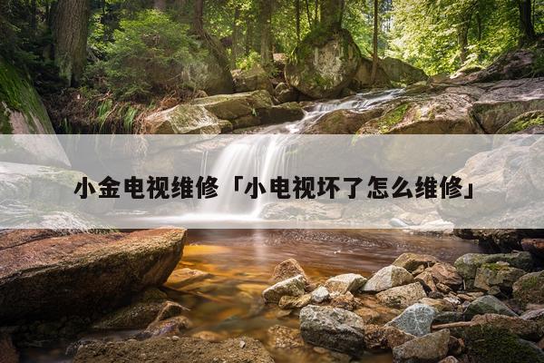 小金电视维修「小电视坏了怎么维修」