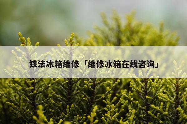 铁法冰箱维修「维修冰箱在线咨询」