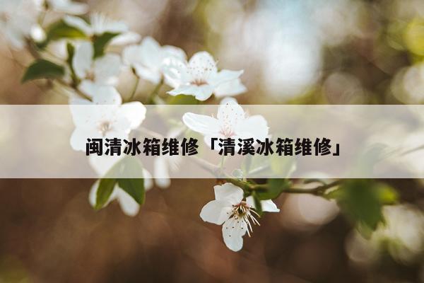 闽清冰箱维修「清溪冰箱维修」