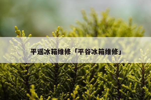 平遥冰箱维修「平谷冰箱维修」