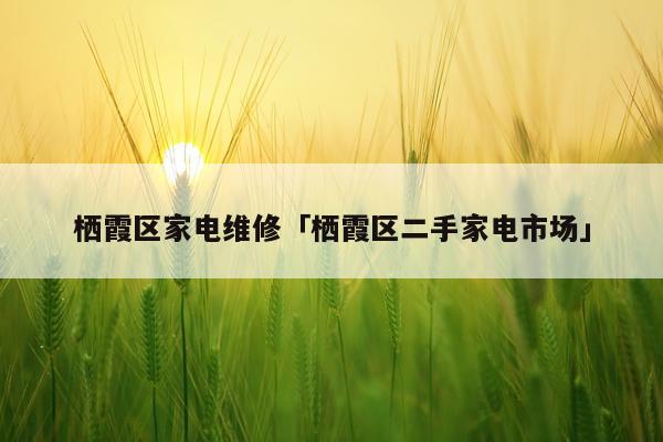 栖霞区家电维修「栖霞区二手家电市场」