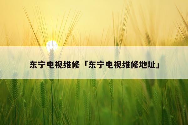 东宁电视维修「东宁电视维修地址」