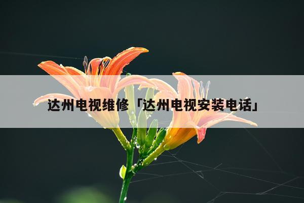 达州电视维修「达州电视安装电话」