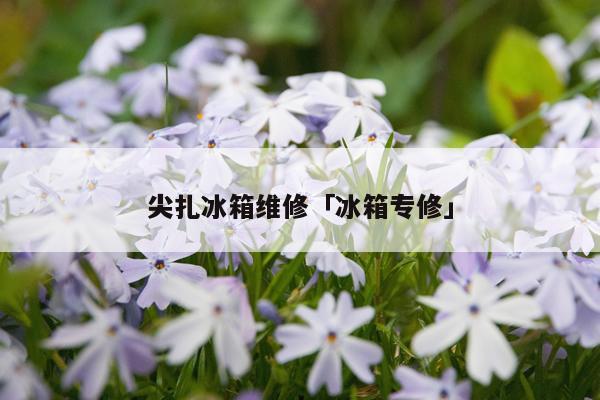 尖扎冰箱维修「冰箱专修」