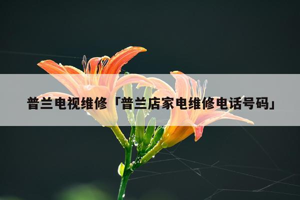 普兰电视维修「普兰店家电维修电话号码」