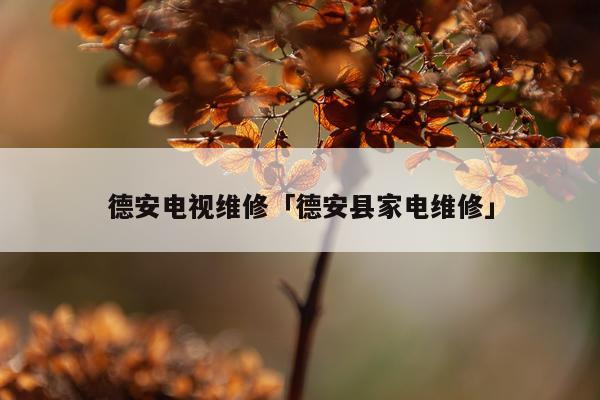 德安电视维修「德安县家电维修」
