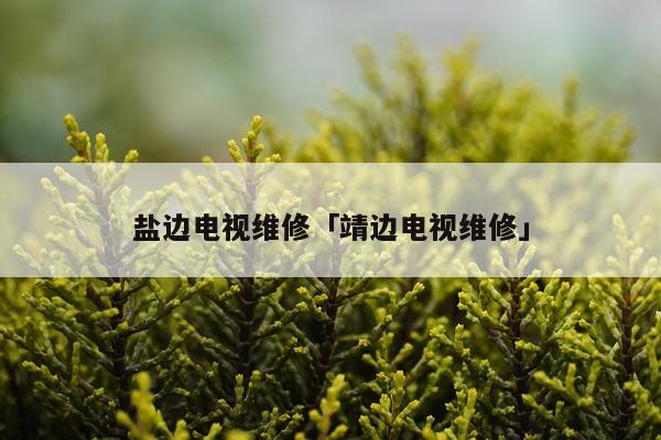 盐边电视维修「靖边电视维修」