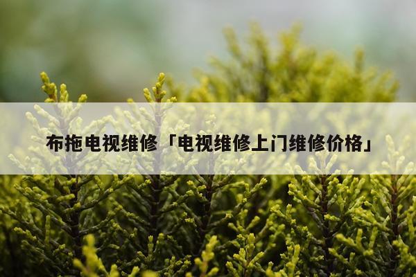 布拖电视维修「电视维修上门维修价格」