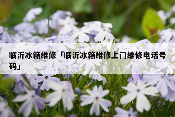 临沂冰箱维修「临沂冰箱维修上门维修电话号码」