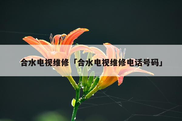 合水电视维修「合水电视维修电话号码」