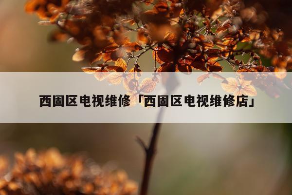 西固区电视维修「西固区电视维修店」