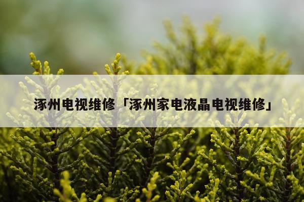 涿州电视维修「涿州家电液晶电视维修」