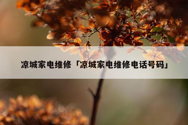 凉城家电维修「凉城家电维修电话号码」