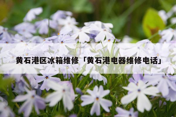 黄石港区冰箱维修「黄石港电器维修电话」
