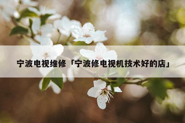 宁波电视维修「宁波修电视机技术好的店」