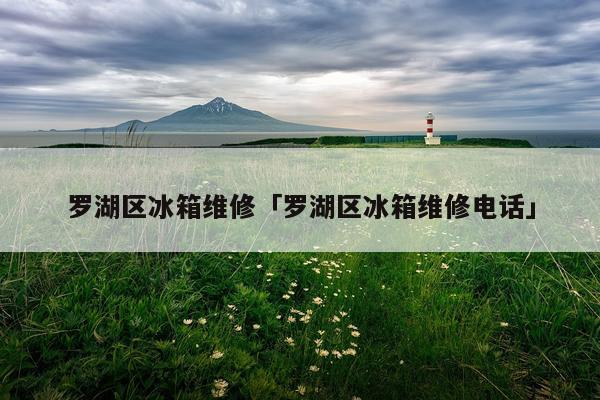 罗湖区冰箱维修「罗湖区冰箱维修电话」