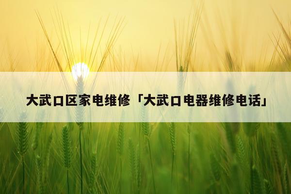 大武口区家电维修「大武口电器维修电话」