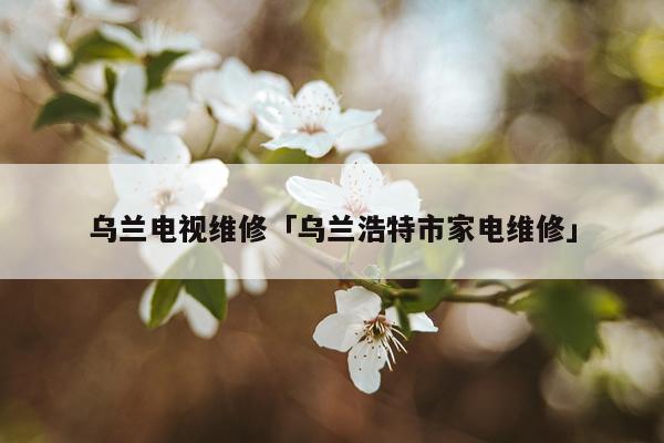 乌兰电视维修「乌兰浩特市家电维修」