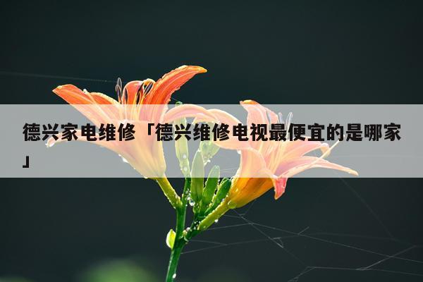 德兴家电维修「德兴维修电视最便宜的是哪家」