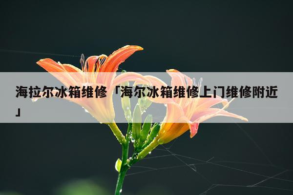 海拉尔冰箱维修「海尔冰箱维修上门维修附近」