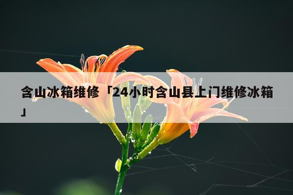 含山冰箱维修「24小时含山县上门维修冰箱」