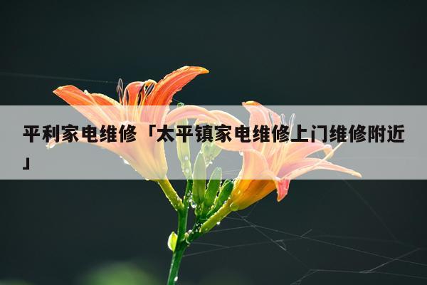 平利家电维修「太平镇家电维修上门维修附近」