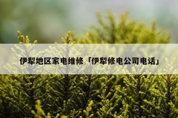 伊犁地区家电维修「伊犁修电公司电话」