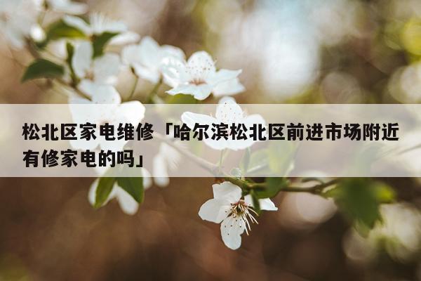 松北区家电维修「哈尔滨松北区前进市场附近有修家电的吗」
