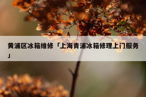 黄浦区冰箱维修「上海青浦冰箱修理上门服务」