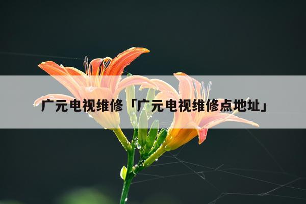 广元电视维修「广元电视维修点地址」