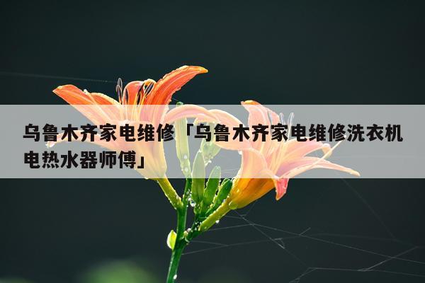 乌鲁木齐家电维修「乌鲁木齐家电维修洗衣机电热水器师傅」