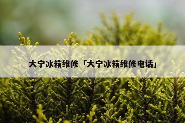 大宁冰箱维修「大宁冰箱维修电话」